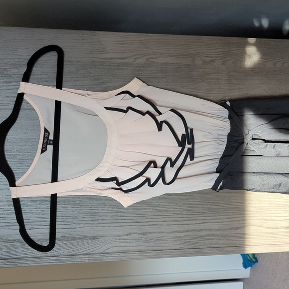 Express Dress - Picture 4 of 5